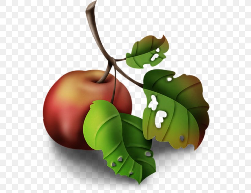 M / 0d Apple Butterfly Graphics Product Design, PNG, 550x629px, M 0d, Apple, Branch, Butterfly, Caterpillar Download Free