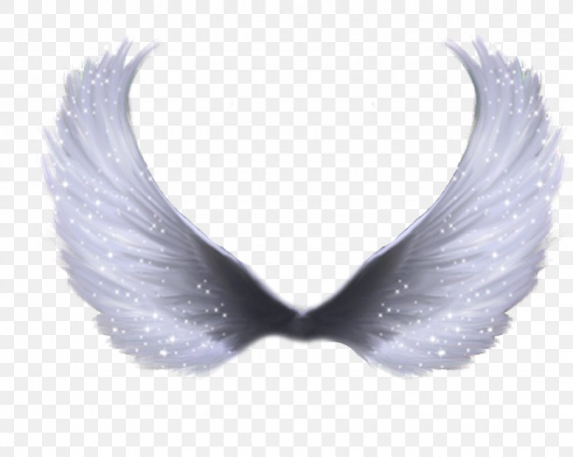 Wing Clip Art, PNG, 1024x819px, Wing, Angel, Angel Wing, Purple Download Free
