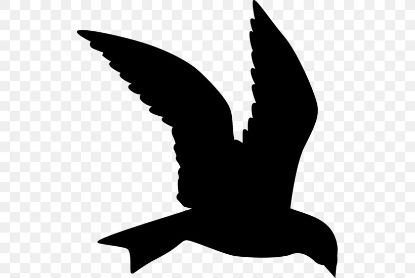 Beak Clip Art Silhouette, PNG, 515x550px, Beak, Bird, Blackandwhite, Charadriiformes, Gull Download Free