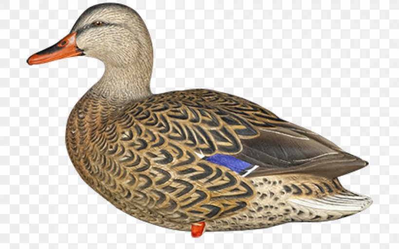 Mallard Duck Decoy Goose, PNG, 940x587px, Mallard, Anseriformes, Beak, Bird, Bird Ringing Download Free