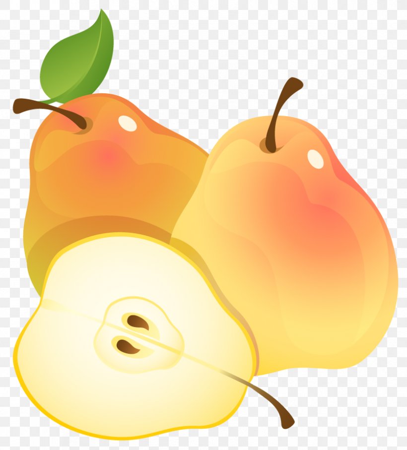 Pear Fruit Clip Art, PNG, 837x926px, Pear, Apple, Food, Free Content, Fruit Download Free