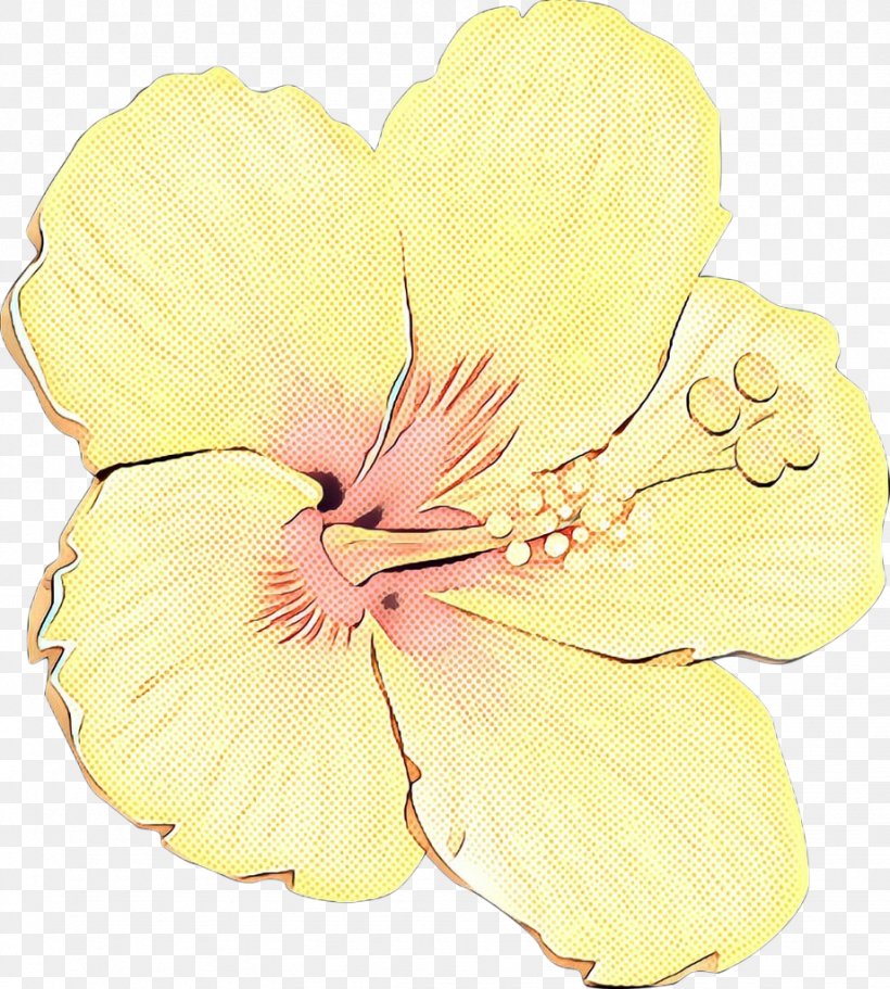 Rosemallows Cut Flowers Moth Orchids Petal, PNG, 921x1024px, Rosemallows, Cut Flowers, Evening Primrose, Evening Primrose Family, Flower Download Free