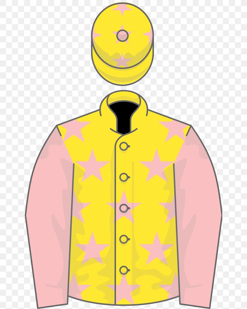 Thoroughbred Ascot John Smith's Cup, PNG, 656x1024px, Thoroughbred, Ascot, Clothing, Horse, Horse Racing Download Free