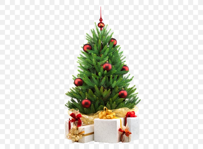 Christmas Tree Christmas Decoration White Christmas Stock Photography, PNG, 600x600px, Christmas Tree, Christmas, Christmas Decoration, Christmas Ornament, Conifer Download Free