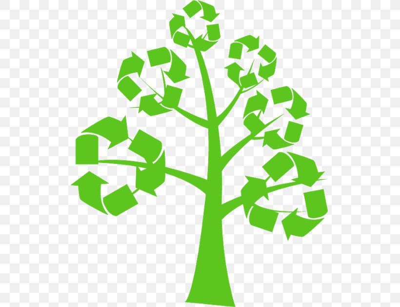 Environmentally Friendly Public Libraries Going Green Recycling Business Waste, PNG, 530x629px, Environmentally Friendly, Biomass Briquettes, Briquette, Business, Grass Download Free