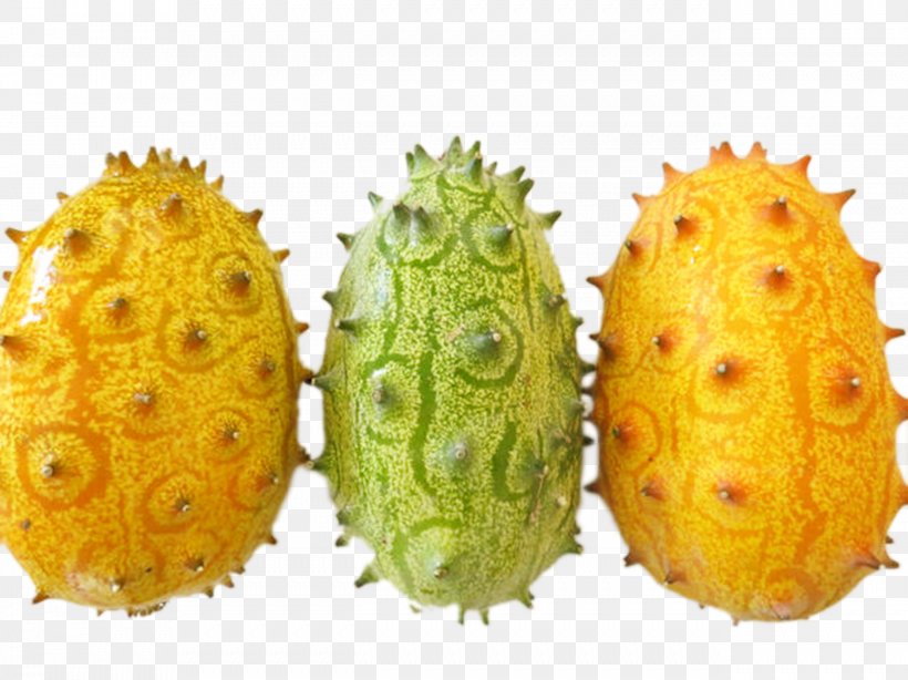 Horned Melon Cucumber Muskmelon Auglis, PNG, 2583x1937px, Horned Melon, Annona, Auglis, Berry, Cucumber Download Free