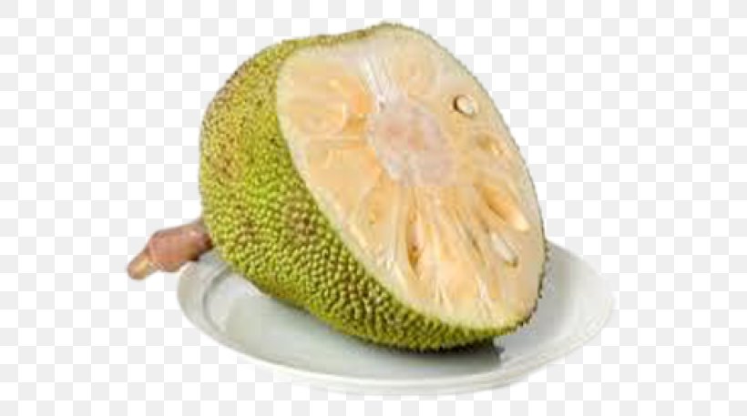 Jackfruit Asian Cuisine Food, PNG, 607x457px, Jackfruit, Artocarpus, Asian Cuisine, Breadfruit, Cempedak Download Free