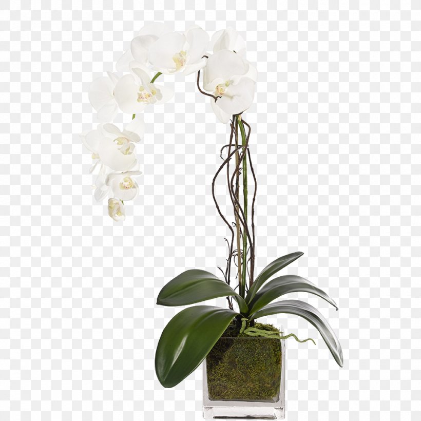 Moth Orchids Cut Flowers Floral Design, PNG, 960x960px, Moth Orchids, Artificial Flower, Cattleya, Cattleya Orchids, Cut Flowers Download Free