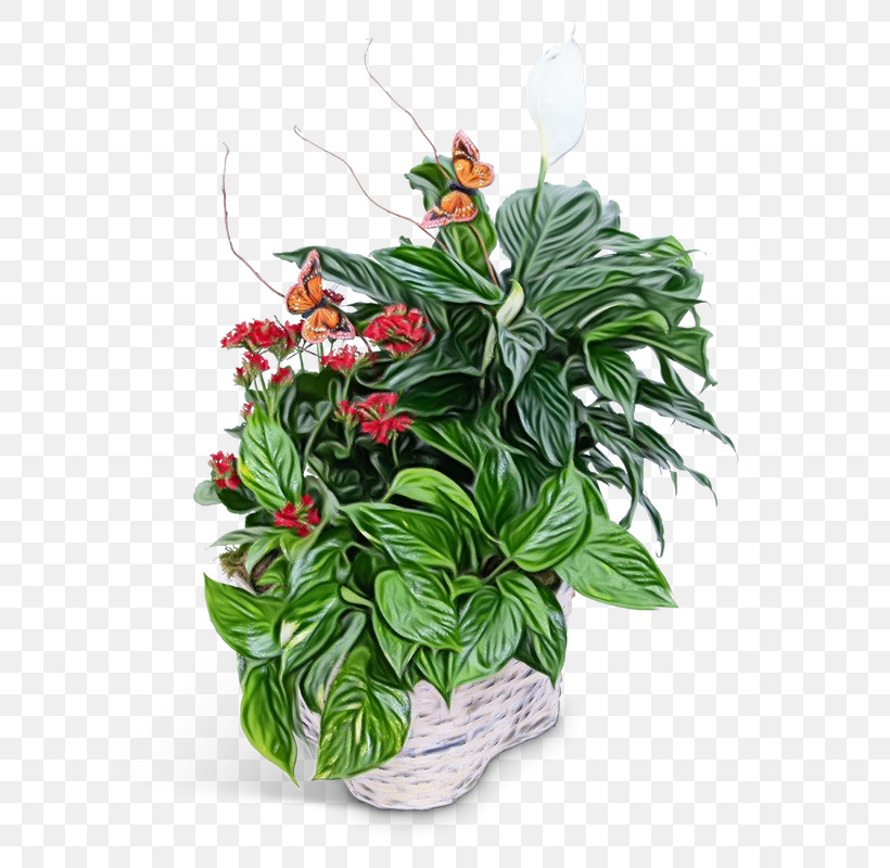 Floral Design, PNG, 800x800px, Watercolor, Artificial Flower, Biology, Cut Flowers, Floral Design Download Free