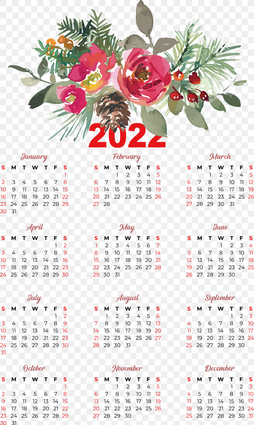 Flower Calendar Blog Meter Plant, PNG, 3449x5778px, Flower, Biology, Blog, Calendar, Meter Download Free