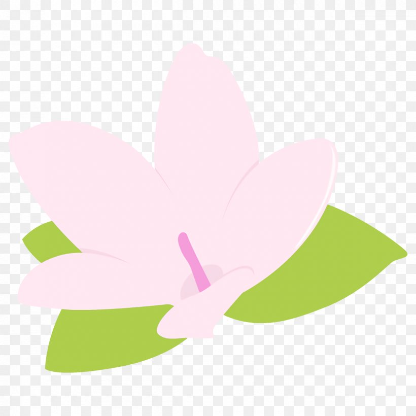Pink Petal Flower Clip Art Plant, PNG, 1200x1200px, Pink, Flower, Lotus Family, Petal, Plant Download Free