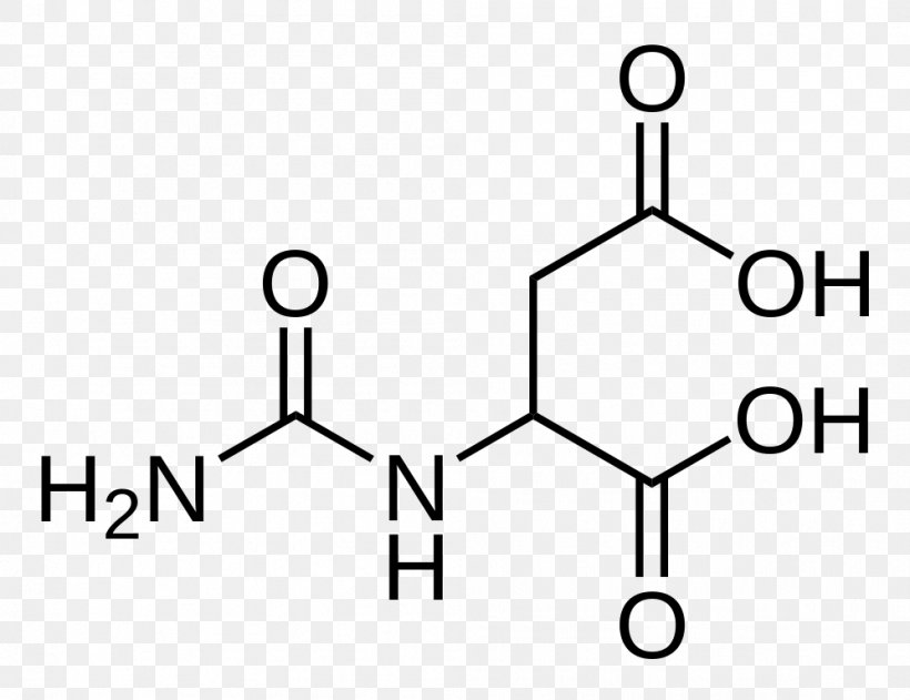 Acetylcysteine Toronto Research Chemicals Inc Pharmaceutical Drug Acid Chemical Substance, PNG, 997x768px, Acetylcysteine, Acetic Acid, Acetyl Group, Acid, Area Download Free