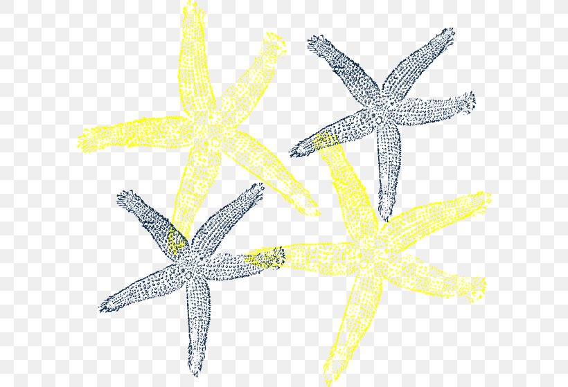 Starfish Wedding Clip Art, PNG, 600x559px, Starfish, Beach, Blog, Color, Echinoderm Download Free