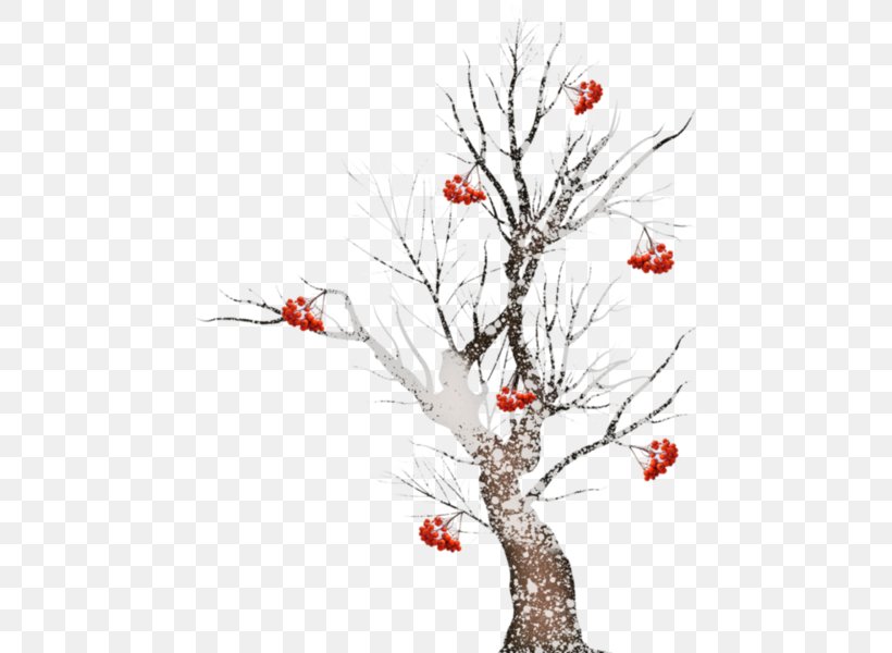 Twig Tree Pine Clip Art, PNG, 466x600px, Twig, Art, Blossom, Branch, Christmas Download Free
