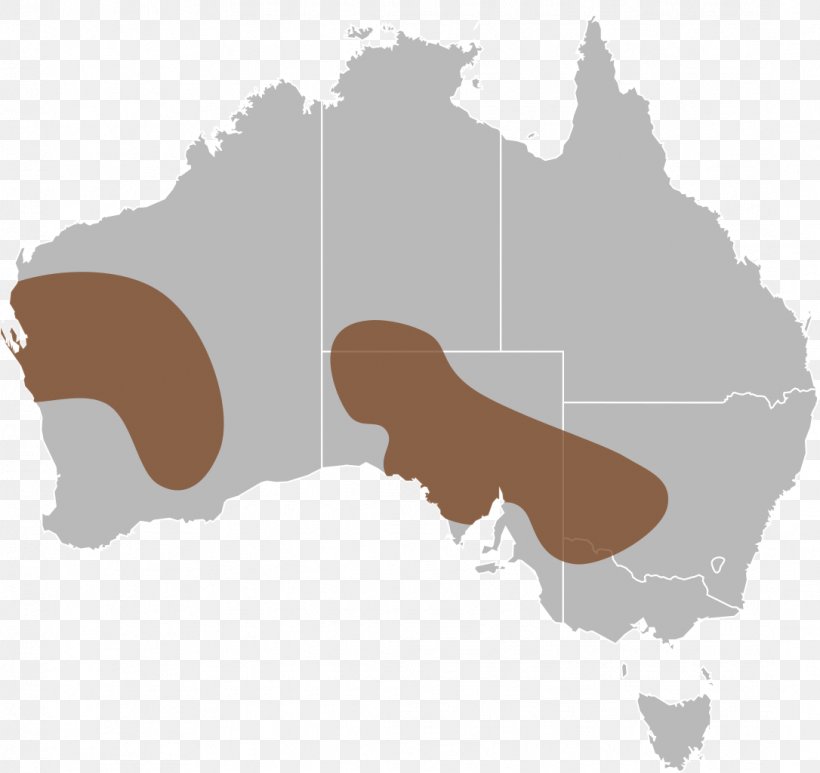 Australia Vector Map, PNG, 1086x1024px, Australia, Blank Map, Flag Of Australia, Map, Silhouette Download Free