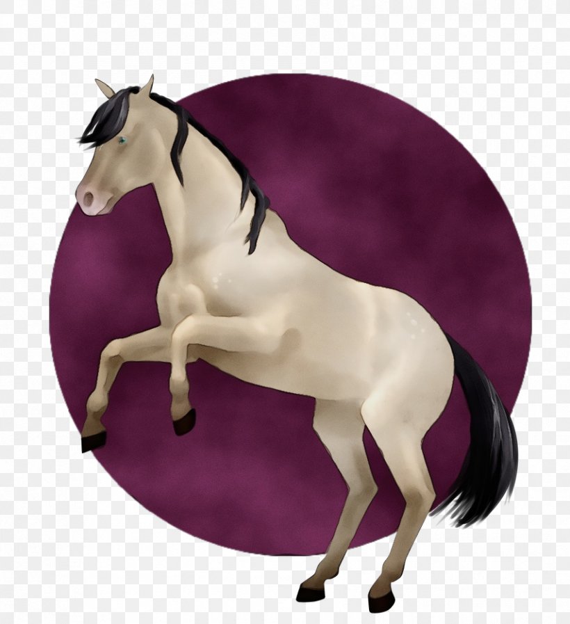 Horse Purple Violet Mare Stallion, PNG, 854x935px, Watercolor, Dressage, English Pleasure, Fictional Character, Horse Download Free