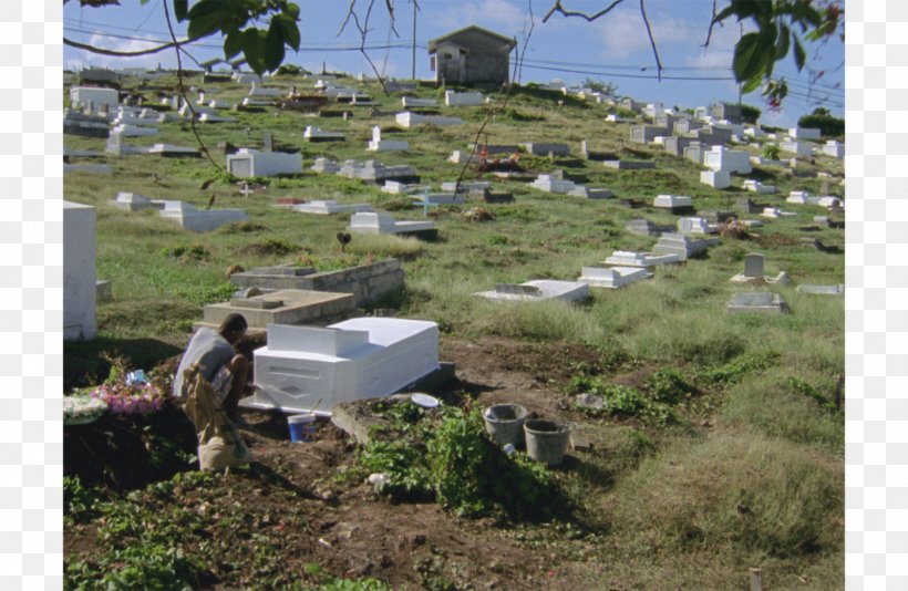 Pérez Art Museum Miami England Cemetery Plant Community, PNG, 1400x913px, England, Art Museum, Cemetery, Community, Exhibition Download Free