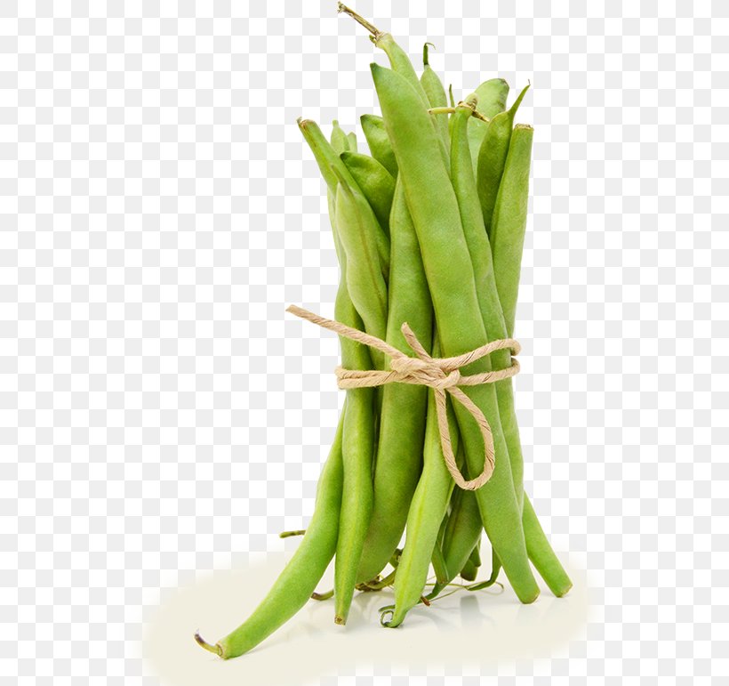 Snap Pea Common Bean Vegetarian Cuisine Green Bean Legume, PNG, 563x771px, Snap Pea, Asparagus, Bean, Blackeyed Pea, Broad Bean Download Free