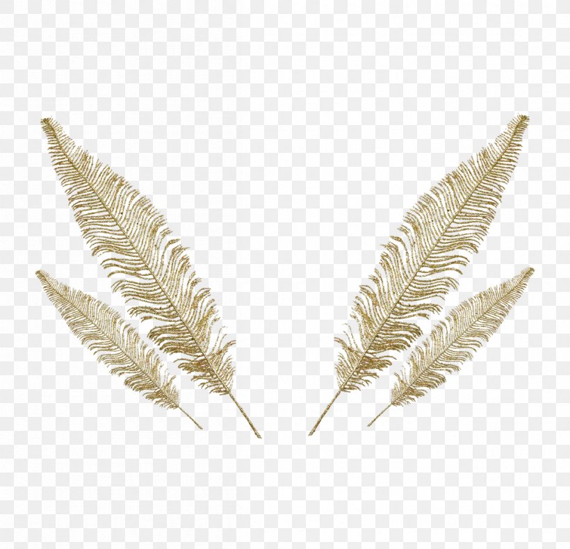 Feather Euclidean Vector, PNG, 1205x1162px, Feather, Color, Grass Family, Gratis, Leaf Download Free