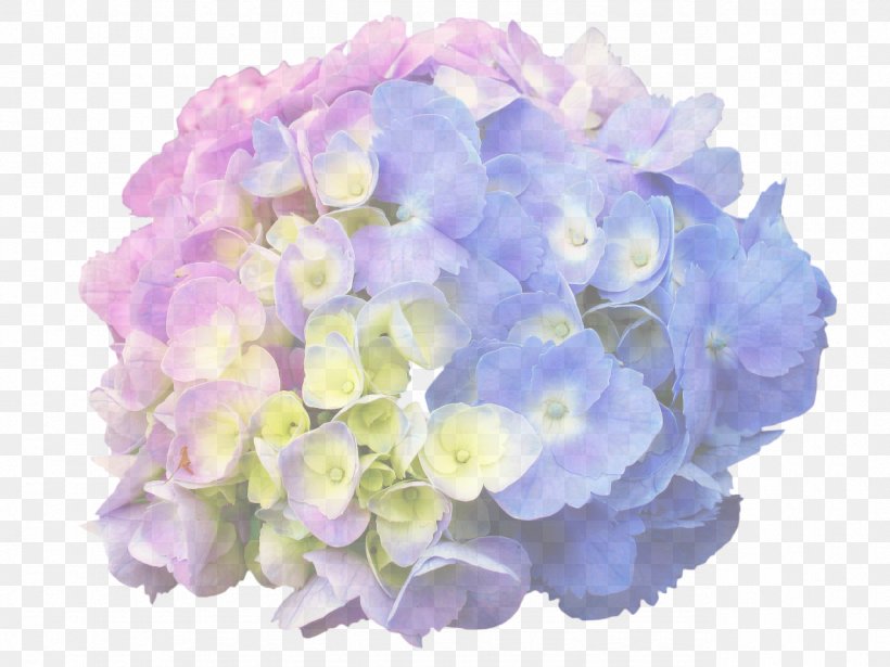 French Hydrangea Panicled Hydrangea Tea Of Heaven Plants Hortensia Hydrangea Macrophylla Magical Amethyst, PNG, 1279x960px, French Hydrangea, Artificial Flower, Bouquet, Cornales, Cut Flowers Download Free