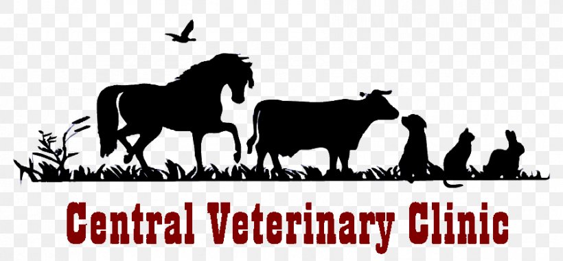 Mustang Cat Central Veterinary Clinic Veterinarian Veterinary Medicine, PNG, 893x414px, Mustang, Animal, Black And White, Brand, Cat Download Free