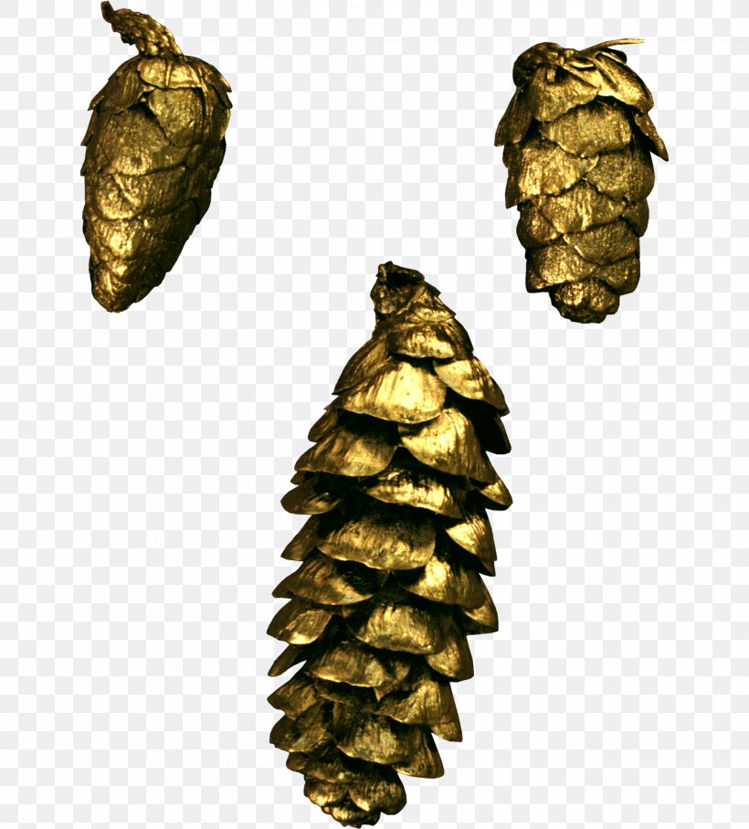 Pine Conifer Cone Material, PNG, 2626x2907px, Pine, Conifer, Conifer Cone, Image File Formats, Material Download Free