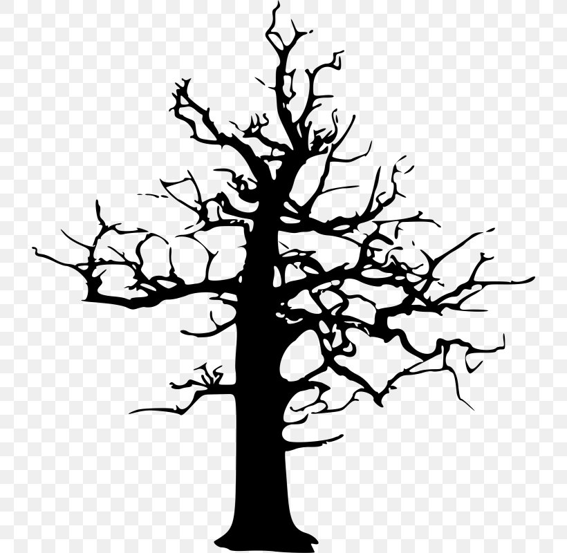 Tree Drawing Clip Art, PNG, 728x800px, Tree, Black And White, Branch, Drawing, Flower Download Free