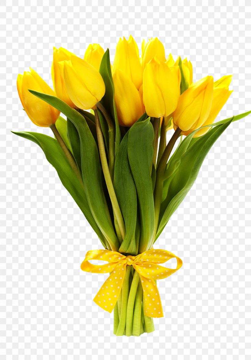 Flower Bouquet Tulip Stock Photography Image, PNG, 836x1200px, Flower Bouquet, Cut Flowers, Floral Design, Floristry, Flower Download Free