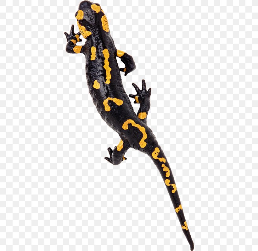 Gecko Lizard Reptile Chameleons, PNG, 414x800px, Gecko, Amphibian, Animal, Animal Figure, Black Download Free