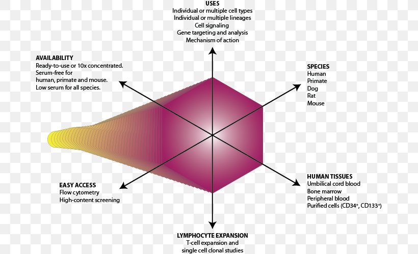 Line Brand Angle Diagram, PNG, 679x499px, Brand, Diagram, Triangle Download Free