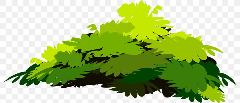 Tree Green Branch, PNG, 800x352px, Tree, Branch, Cartoon, Grass, Green Download Free