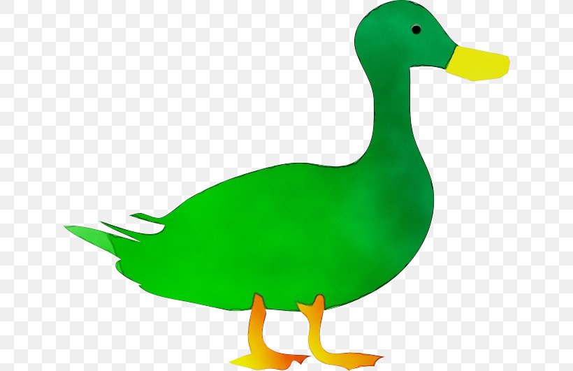 Duck Bird Mallard Ducks, Geese And Swans Water Bird, PNG, 640x531px, Watercolor, American Black Duck, Beak, Bird, Duck Download Free