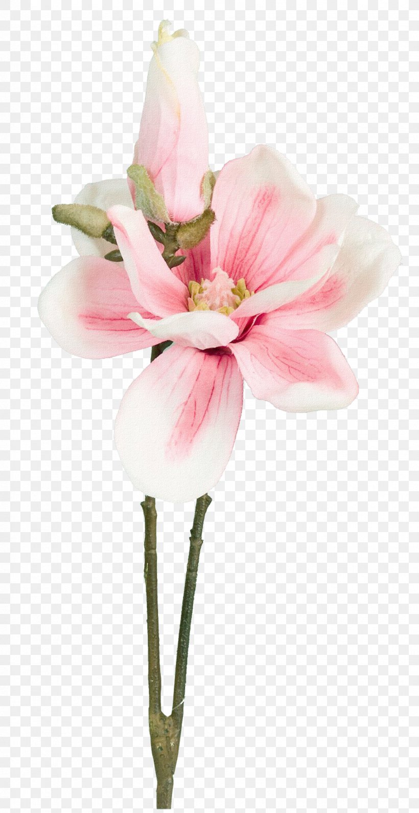 Flower Bouquet Petal, PNG, 1828x3543px, Flower, Blossom, Chrysanthemum, Color, Cut Flowers Download Free