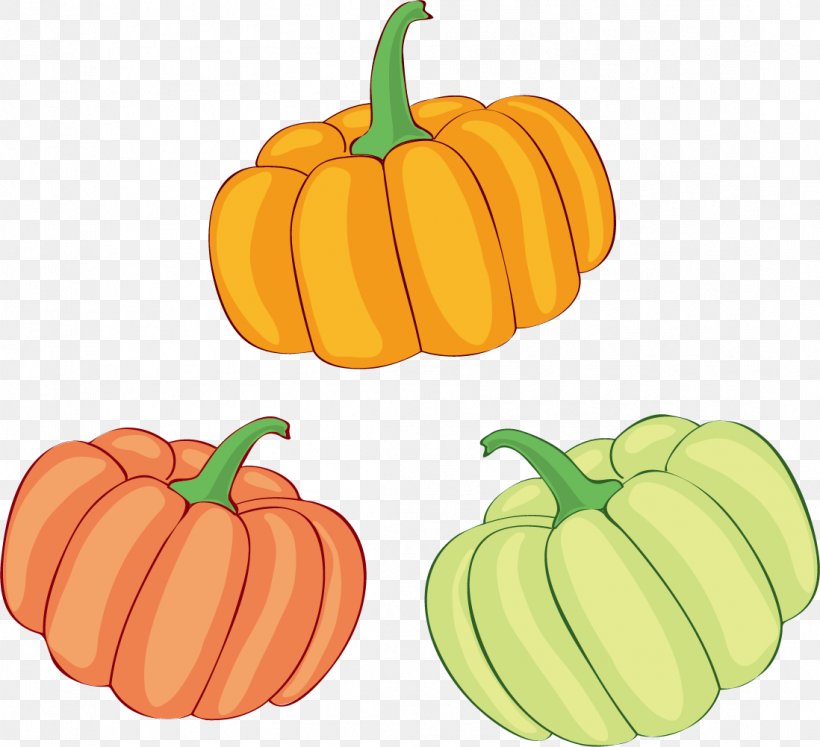 Jack-o'-lantern Pumpkin Illustration Gourd Winter Squash, PNG, 1098x1001px, Jackolantern, Bell Pepper, Bell Peppers And Chili Peppers, Calabash, Calabaza Download Free
