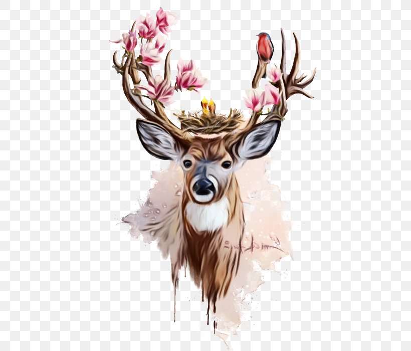 Reindeer, PNG, 512x700px, Watercolor, Antler, Deer, Elk, Fawn Download Free