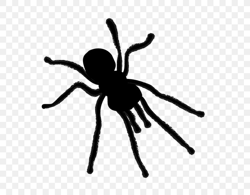 Spider Silhouette Clip Art, PNG, 640x640px, Spider, Animal, Arachnid, Arthropod, Berrett Pest Control Download Free