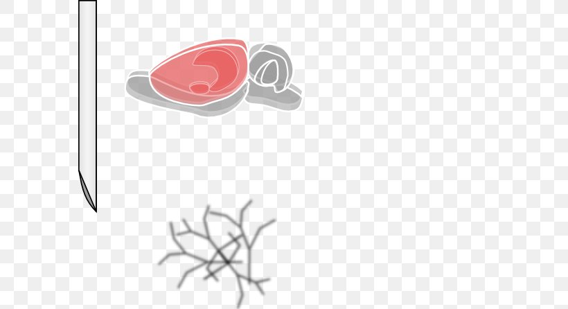 Laboratory Rat Human Brain Black Rat Clip Art, PNG, 594x446px, Laboratory Rat, Amygdala, Black Rat, Brain, Hippocampus Download Free