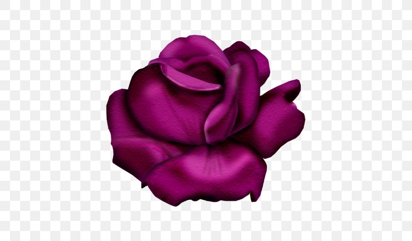 Garden Roses Flower Clip Art, PNG, 587x480px, Garden Roses, Art, Blog, Cut Flowers, Flower Download Free