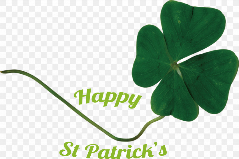 Shamrock, PNG, 3334x2230px, Leaf, Biology, Green, Happiness, Meter Download Free