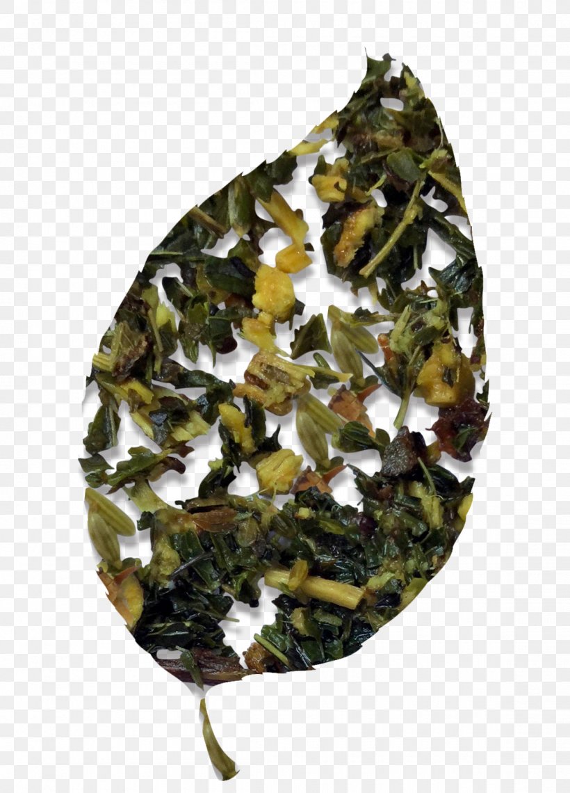 Tieguanyin Leaf Vegetable Camouflage, PNG, 1150x1600px, Tieguanyin, Camouflage, Leaf Vegetable, Oolong Download Free