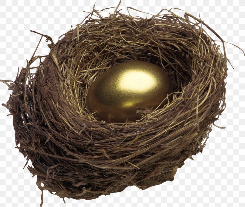 Bird Nest Egg, PNG, 2604x2205px, Nest, Adobe Premiere Pro, Bird, Bird Nest, Easter Download Free