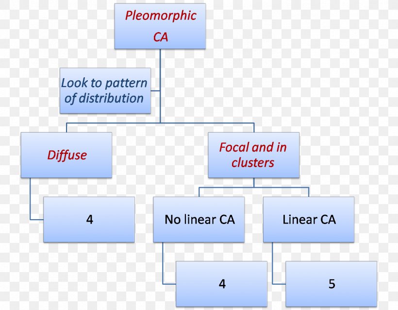 Brand Line Point Organization, PNG, 1477x1150px, Brand, Area, Diagram, Microsoft Azure, Number Download Free