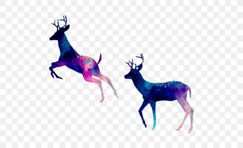 White-tailed Deer Reindeer Desktop Wallpaper Rudolph, PNG, 500x500px, Deer, Antelope, Antler, Art, Fauna Download Free