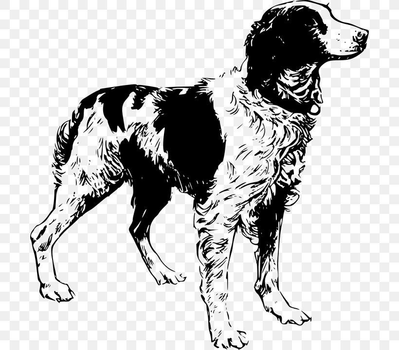 Brittany Dog English Cocker Spaniel Clumber Spaniel English Setter, PNG, 696x720px, Brittany Dog, American Cocker Spaniel, Black And White, Brittany, Carnivoran Download Free