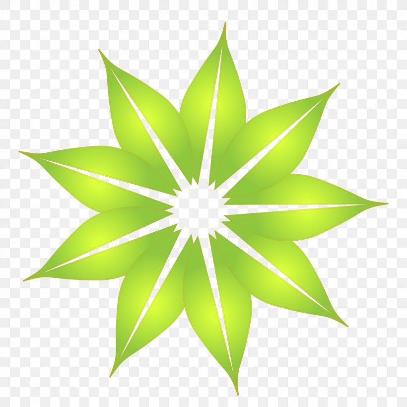 Flower Image Color Green, PNG, 1028x1028px, Flower, Color, Cosmetics, Flora, Grass Download Free