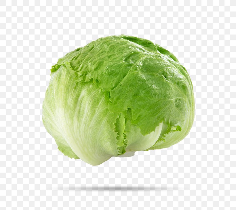 Iceberg Lettuce Food Vegetable Salad Organic Lettuce, PNG, 600x730px, Iceberg Lettuce, Brassica, Cabbage, Cruciferous Vegetables, Flower Download Free