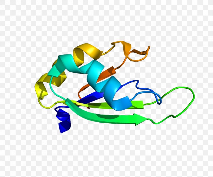 PABPN1 Poly(A)-binding Protein Oculopharyngeal Muscular Dystrophy Polyadenylation, PNG, 1200x1000px, Polyabinding Protein, Animal Figure, Area, Art, Artwork Download Free