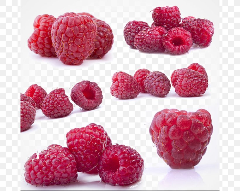 Red Raspberry Frutti Di Bosco Fruit Boysenberry, PNG, 680x655px, Raspberry, Auglis, Berry, Blackberry, Boysenberry Download Free