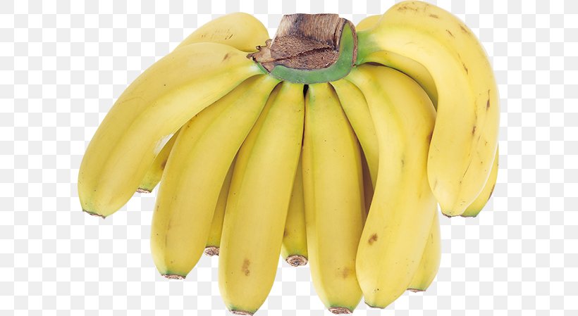 Saba Banana Food Fruit Cooking Banana, PNG, 600x449px, Banana, Banana Family, Berry, Cooking, Cooking Banana Download Free