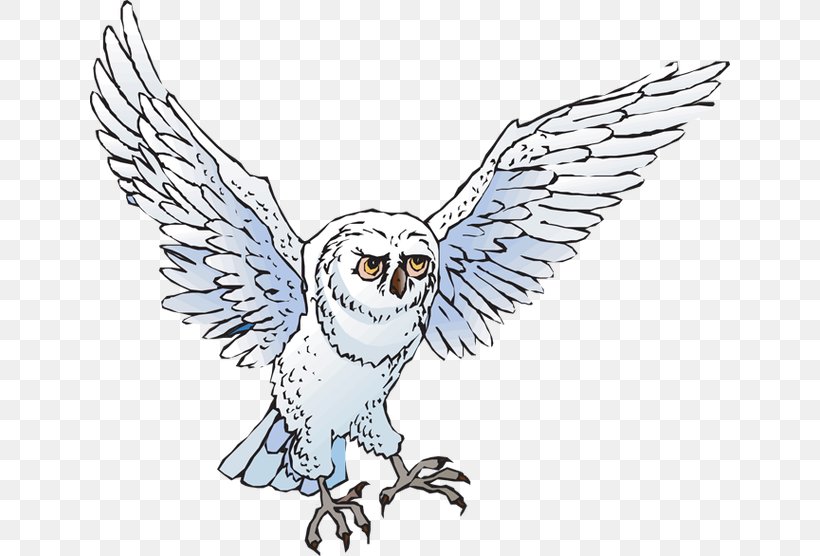 Snowy Owl Drawing Clip Art, PNG, 640x556px, Owl, Artwork, Barred Owl, Beak, Bird Download Free